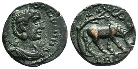 TROAS, Alexandria Troas. Salonina. Augusta, AD 254-268. Æ

Condition: Very Fine

Weight: 4.25gr
Diameter: 19.11mm

From a Private Dutch Collection.