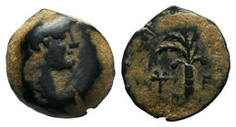 EGYPT. Alexandria. Hadrian (117-138). Ae Obol. RARE!

Condition: Very Fine

Weight: 2gr
Diameter:10 mm

From a Private Dutch Collection.