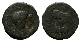 Collection of Countermark Coins - AE, Circa 1st Century AD.

Condition: Very Fine

Weight: 7.84gr
Diameter: 22.73mm

From a Private Dutch Collection.