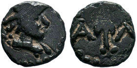 Anastasius I. 491-518. Æ , Vandal Type ?? !

Condition: Very Fine

Weight: 1.85gr
Diameter: 13.82mm

From a Private Dutch, Collection.