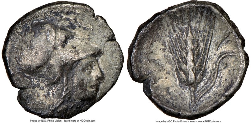 LUCANIA. Metapontum. Ca. 325-275 BC. AR diobol (11mm, 8h). NGC VF. Head of Athen...