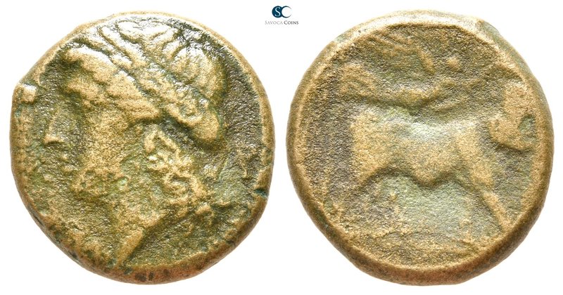 Campania. Neapolis 270-250 BC. 
Bronze Æ

19 mm., 5,58 g.



fine