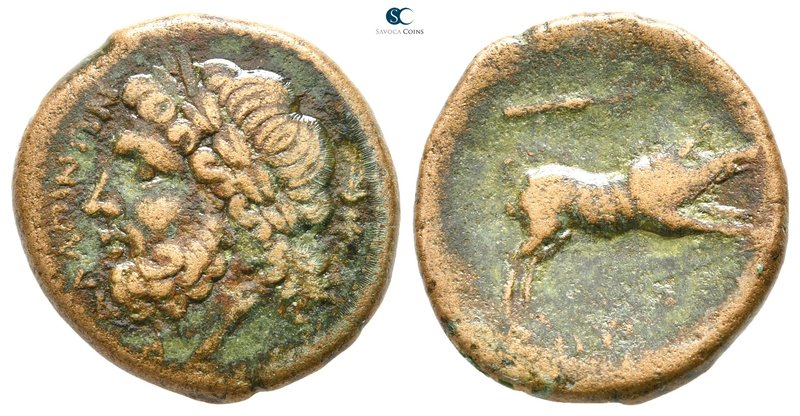 Apulia. Arpi 215-212 BC. 
Bronze Æ

23 mm., 6,45 g.



very fine