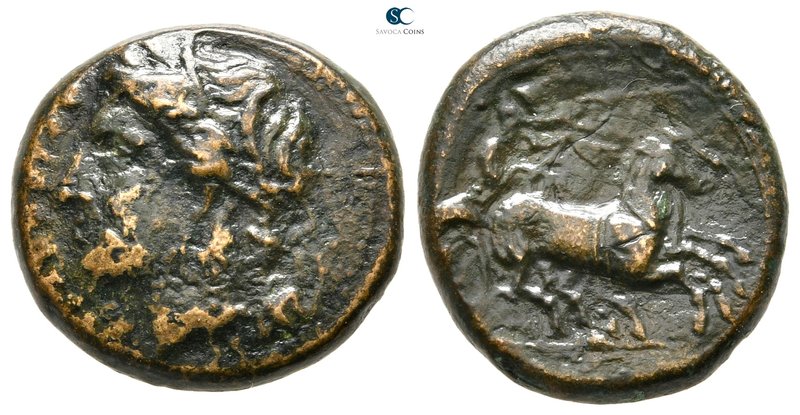 Sicily. Syracuse 287-283 BC. 
Bronze Æ

18 mm., 6,36 g.



nearly very fi...