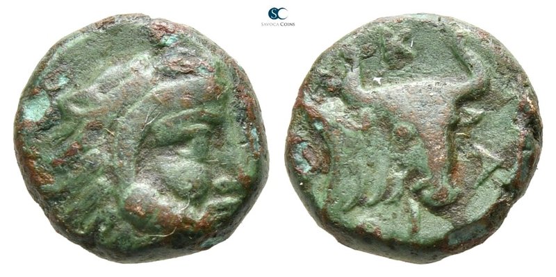 Thrace. Dicaea 400-350 BC. 
Chalkous Æ

10 mm., 1,35 g.



very fine