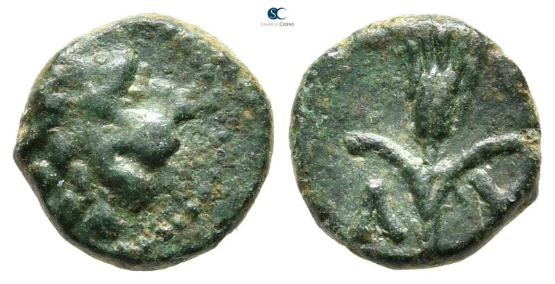 Thrace. Lysimacheia 225-199 BC. 
Bronze Æ

10 mm., 0,97 g.



very fine