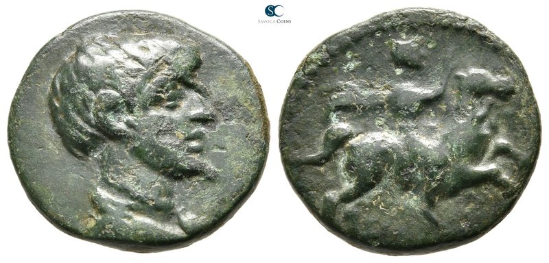 Kings of Thrace. Kabyle. Skostokos II 250-245 BC. 
Bronze Æ

18 mm., 4,34 g....