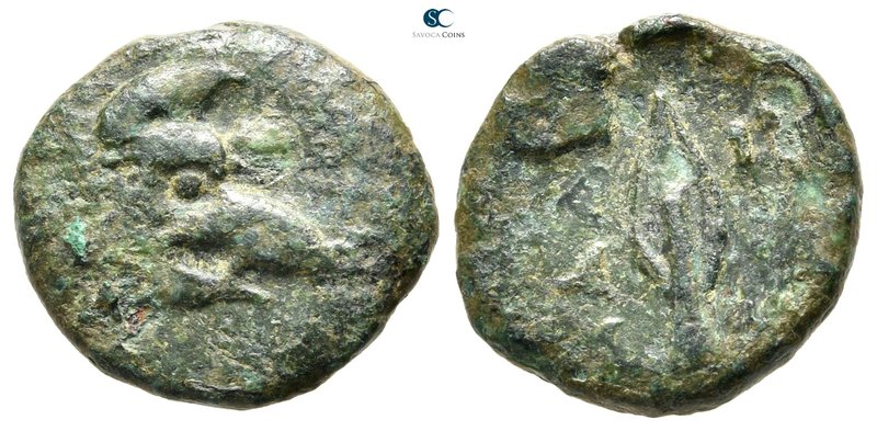 Kings of Thrace. Kypsela. Seleukid. Adaios 253-243 BC. 
Bronze Æ

16 mm., 2,9...