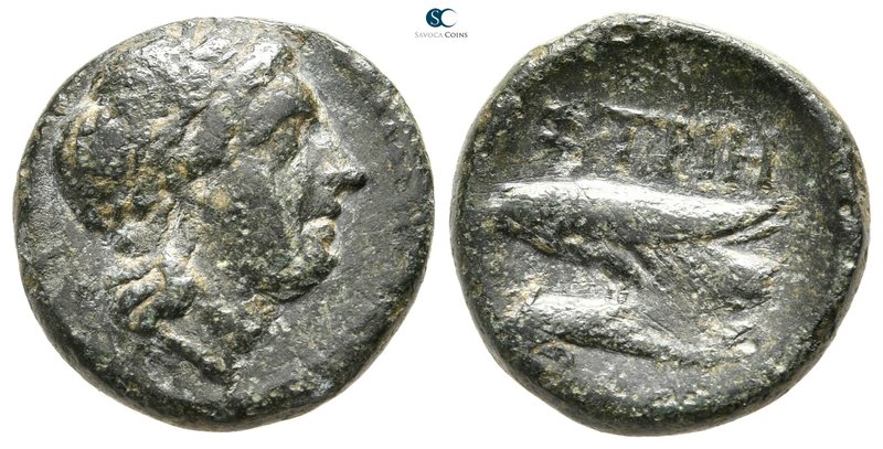 Moesia. Istrus circa 250 BC. 
Bronze Æ

17 mm., 4,59 g.



very fine