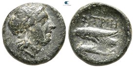 Moesia. Istrus circa 250 BC. Bronze Æ