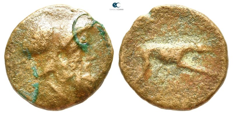 Akarnania. Argos Amphilochicon 330-300 BC. 
Bronze Æ

17 mm., 2,87 g.



...