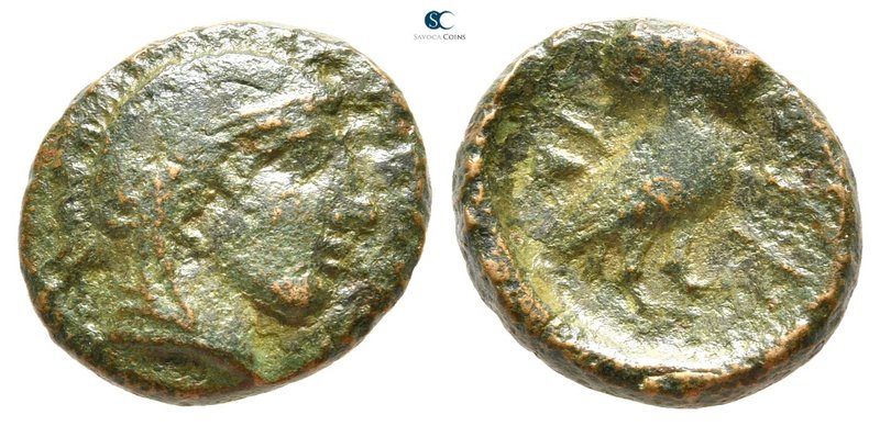 Akarnania. Medeon 350-300 BC. 
Chalkous Æ

15 mm., 2,62 g.



fine