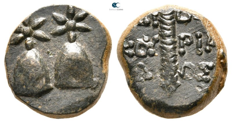 Colchis. Dioskourias. Time of Mithradates VI 120 BC-AD 63. 
Bronze Æ

15 mm.,...