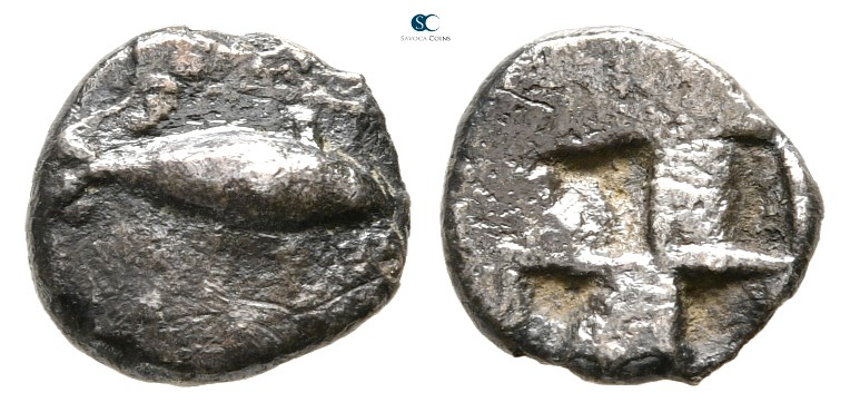 Mysia. Kyzikos 550-500 BC. 
Obol AR

9 mm., 0,56 g.



very fine