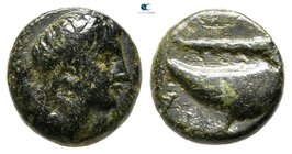 Aiolis. Gyrneion 350-250 BC. Bronze Æ