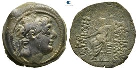 Seleukid Kingdom. Antioch. Antiochos IX Philopator (Kyzikenos) 114-95 BC. Bronze Æ