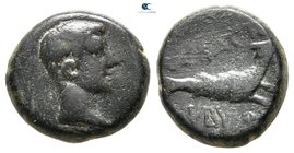Cilicia. Kibyra Minor. Augustus 27 BC-AD 14. Bronze Æ