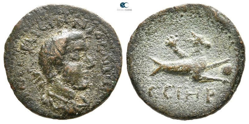 Mysia. Parion. Gallienus AD 253-268. 
Bronze Æ

20 mm., 4,47 g.



nearly...