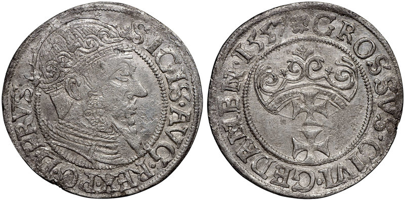 Zygmunt II August, Grosz 1557 Gdańsk - piękny
 Piękny egzemplarz z dobrze zacho...