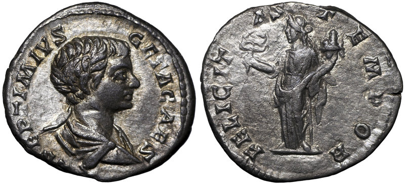 Roman Empire, Geta, Denarius
Rzym, Geta, Denar - Felicitas
 Bardzo ładny egzem...