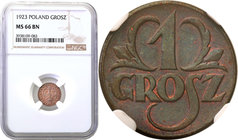 Poland II Republic - Circulation coins
POLSKA/ POLAND/ POLEN

Poland. 1 grosz 1923 NGC MS66 BN (2 MAX) 
Druga najwyższa nota gradingowa na świecie...
