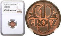 Poland II Republic - Circulation coins
POLSKA/ POLAND/ POLEN

Poland. Grosz 1925 NGC MS66 BN (2MAX) 
Druga najwyższa nota na świecie. Idealnie zac...