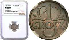 Poland II Republic - Circulation coins
POLSKA/ POLAND/ POLEN

Poland. 1 grosz 1928 NGC MS66 BN (2MAX) 
Druga najwyższa nota gradingowa na świecie....