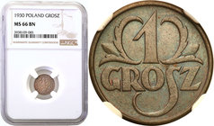 Poland II Republic - Circulation coins
POLSKA/ POLAND/ POLEN

Poland. 1 grosz 1930 NGC MS66 BN (2MAX) - The rarest year 
Druga najwyższa nota grad...