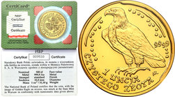 Polish Gold Coins since 1990
POLSKA/ POLAND/ POLEN/ PROBE/ PATTERN/ GOLD

Poland. 500 zlotych 2000 Eagle Bielik (Ounce of gold) – RAREST! only 500 ...