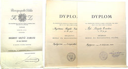 Decorations, Orders, Badges 
POLSKA/ POLAND/ POLEN / RUSSIA

Award diplomas of Capt. Angelo Ernest 59 P.P, set of 3 
- Srebrny Krzyz Zasługi 1938 ...