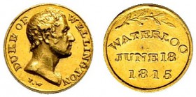 GROSSBRITANNIEN 
 George III. 1760-1820. 
 Goldmedaille 1815. Miniaturmedaille auf Wellington und die Schlacht bei Waterloo. Stempel von T. Wyon. Br...