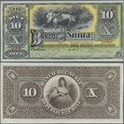 Chile: Banco del Ñuble 10 Pesos 1885, P.S344, extraordinary rare as an issued note and in this perfect UNC condition.
 [plus 19 % VAT]