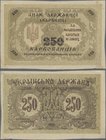 Ukraina: 250 Karbovanez 1918 P. 39a miscut borders, light handling and dints in paper, condition: XF.
 [plus 19 % VAT]