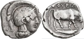 Lukanien: Thourioi (= Thurium): AR-Stater, ca. 350-281 v. Chr., behelmter Athenakopf nach rechts / Stier nach rechts stoßend, 7,7 g, sehr schön.
 [ta...
