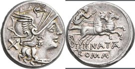 Pinarius Natta (149 v.Chr.): Natta, AR-Denar, 149 v. Chr., Romakopf nach rechts / Victoria in Biga nach rechts. Albert 831, Crawford 208/1, Sear 89, 4...