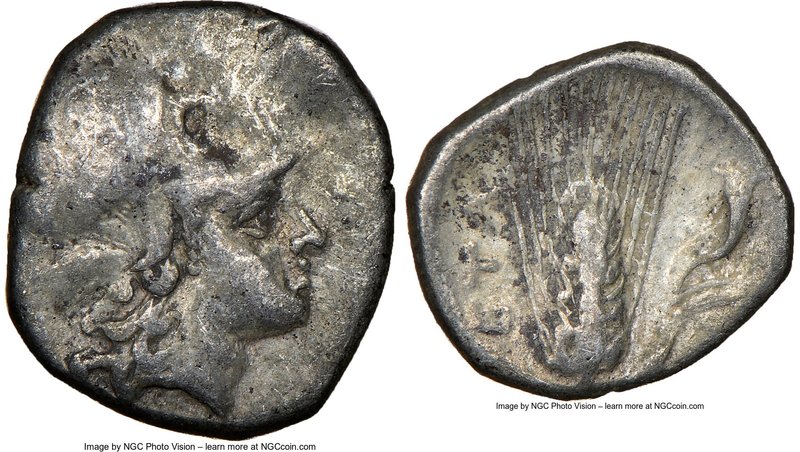 LUCANIA. Metapontum. Ca. 325-275 BC. AR diobol (11mm, 3h). NGC Choice Fine. Head...