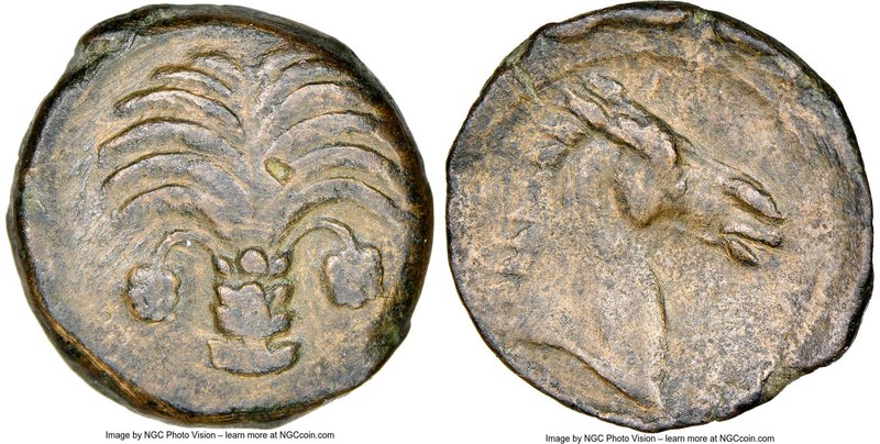 ZEUGITANA. Carthage. Ca. late 4th century BC. AE (18mm, 9h). NGC Choice VF, lt. ...