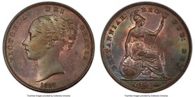 Victoria Penny 1855 MS63 Brown PCGS, KM739, S-3948. Variety with plain trident. Opalescent coloration with strong notes of blue and emerald on the rev...