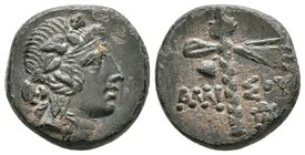 PONTOS, Amisos. Ae15. 85-65 a.C. A/ Cabeza de Dionisos con corona de hiedra a derecha. R/ Thyrsos, a ambos lados AMI-EOY. SNG BM 1192-1195; HGC 251. A...