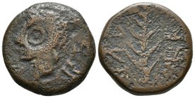 ARSA. As. 50 a.C. Zalamea de la Serena (Badajoz). A/ Cabeza masculina a izquierda, alrededor ARSA. R/ Espiga a izquierda, alrededor leyenda libio feni...