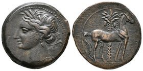 CARTAGO. Dishekel Ae22. 220-215 a.C. Segunda Guerra Púnica. A/ Cabeza de Tanit a izquierda, decorada con corona de espigas y pendiente con un solo col...