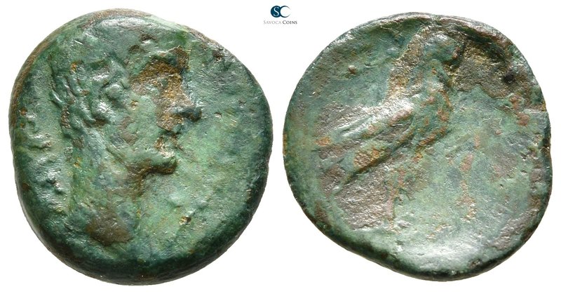 Lakonia. Lakedaimon (Sparta). Augustus 27 BC-AD 14. Eurykles, magistrate
Bronze...