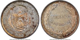 Republic 20 Centavos 1892-C.A.M. MS63 NGC, San Salvador mint, KM111. Offering unique eye appeal, with variegated, slightly dappled touches of amber to...