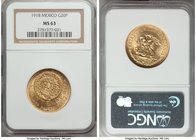 Estados Unidos gold 20 Pesos 1918 MS63 NGC, Mexico City mint, KM478. AGW 0.4822 oz.

HID09801242017