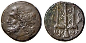 SICILIA Siracusa - Gerone II (274-216 a.C.) AE - Testa di Poseidone a s. - R/ Tridente - S.ANS 994 (g 7,57)
BB