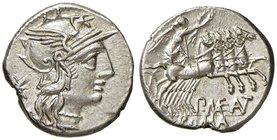 Maenia - P. Maenius Antiaticus M. f. - Denario (132 a.C.) Testa di Roma a d. - R/ La Vittoria su quadriga a d. - B. 7; Cr. 249/1 AG (g 3,85) Piccola m...