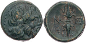 MAKEDONIEN, KÖNIGREICH
Ptolemaios Keraunos, 281-279 v. Chr. AE-Chalkus signiert von Pardalos und Nik(...) Vs.: Kopf des Zeus mit Lorbeerkranz n. r., ...