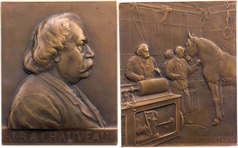 PERSONEN MEDIZINER UND ÄRZTE
Chauveau, Jean Baptiste Auguste, 1827-1917. Bronze...
