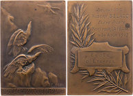 VERKEHRSWESEN LUFTFAHRT
Frankreich Bronzeplakette o. J. (1914-1917) v. Édouard-Pierre Blin, bei Monnaie de Paris Widmung der Ligue aeronautique de Fr...