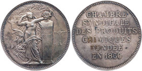 HANDWERK, BRANCHEN, BERUFE CHEMIE
 Silbermedaille o. J. (1881) v. Ernest Paulin Tasset, bei Monnaie de Paris Auf die Chambre syndicale des produits c...